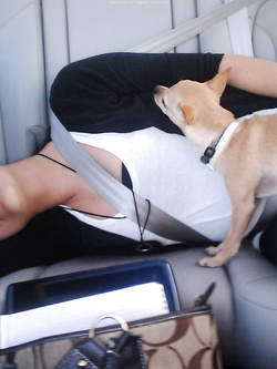 Cubista milanese del Just Cavalli