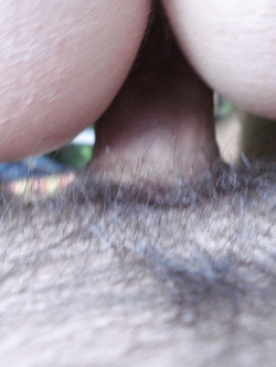 Io con una giovane maialina a Lucca