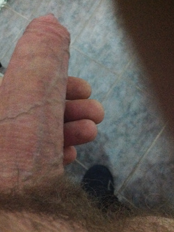 Il mio cazzo / ultima troia