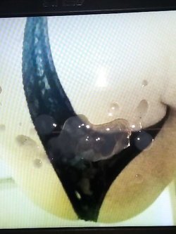 Alessia96trv Parte 2