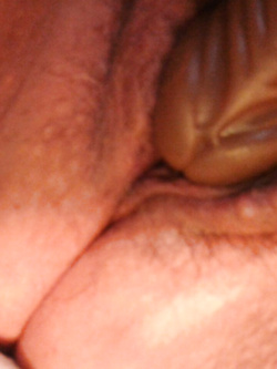 Bella porcona grassa