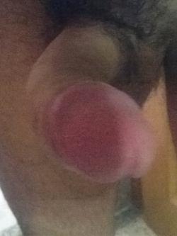 semplicemente il mio bastone