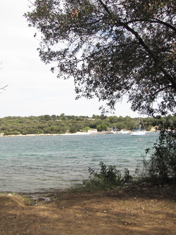 car-sex..esibizionismo..