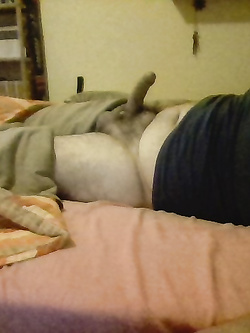 ciao vi presento il mio cazzo