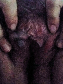 Eccola la mia signora