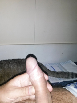 Il mio cazzo Parte 140