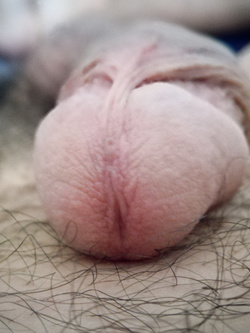 La mia passione Parte 2