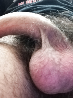 Foto di presentazione Parte 2