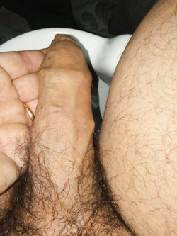 La mia dolce troietta