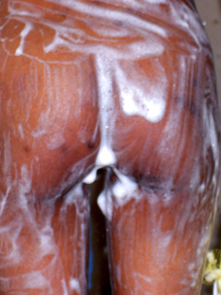 Ramona 2 giovane ragazza sudamericana in doccia