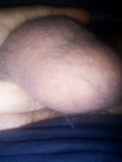 Altro bel pisellino!!!