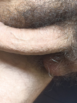 Tutte le mattine scatto una foto al mio cazzo