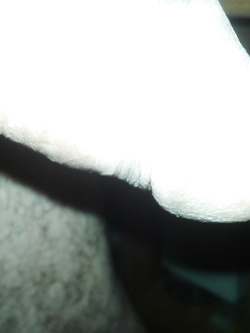 Il mio cazzo Parte 49