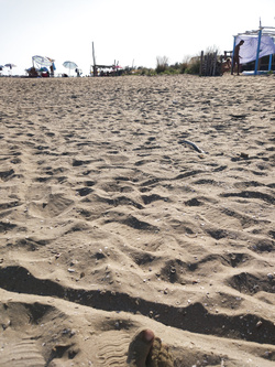 Al morto... Spiaggia nudista