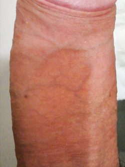 Il mio cazzo da 20cm