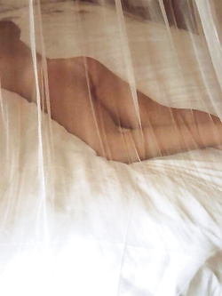 David Hamilton photo