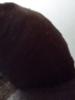 Amico bisex voglioso di cazzo o di coppia in cerca di bull Parte 2