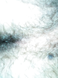 Amico bisex voglioso di cazzo o di coppia in cerca di bull Parte 2