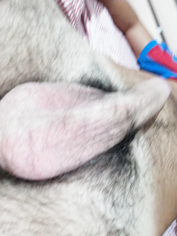 Cazzone duro Parte 3