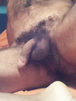 Bel moro curioso bi con voglie...