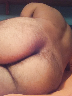 Bel moro curioso bi con voglie...