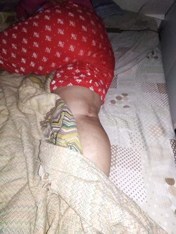 Presentazione Parte 21