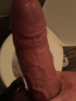 Il mio uccello pugliese