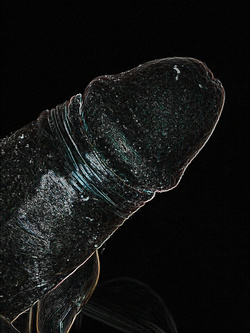 Il mio PenCazzo Parte 2