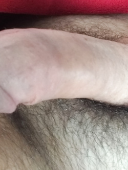 Eccitato nel pomeriggio