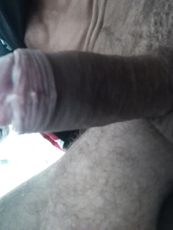 Vera farina del mio sacco