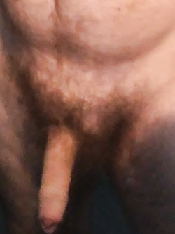 Cerco donne arrapate. Ospito. Inviare foto Ovviamente!