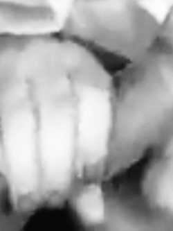 Vienimi sempre in bocca... dopo che mi hai inculato!