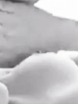 Grande bella scopata