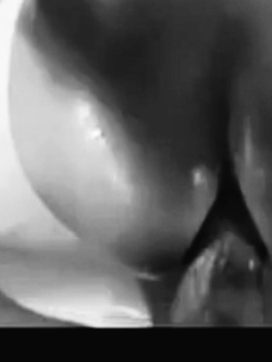 Anale con un bel cazzone