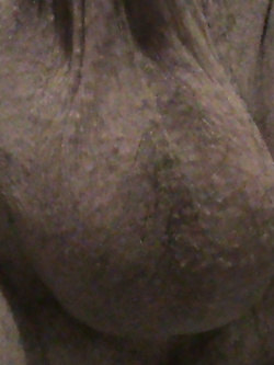 Cazzo sempre eccitato