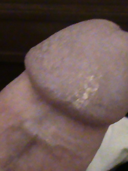 Cazzo sempre eccitato