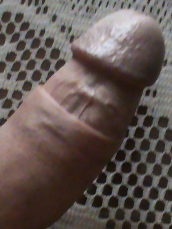 Cazzo sempre eccitato