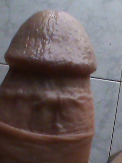 Cazzo sempre eccitato