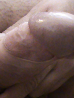 Cazzo sempre eccitato