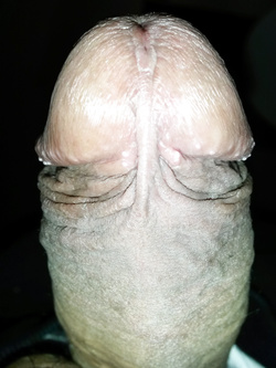 Cazzo Primavera 2019