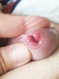 Giorno per giorno (Official