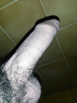 Se avete voglia di avere foto del mio cazzo contattatemi al'email giusemodu@hotmail.com