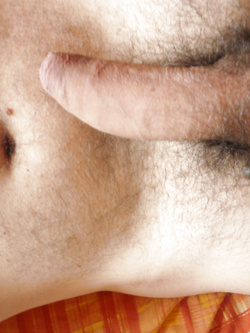 Piacere Francesco Parte 2