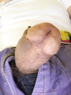 Il mio uccello per voi