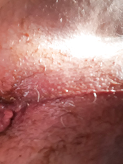 A chi si lascia sfondare dò il permesso di fare altrettanto con me