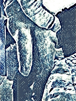 1* weekend 2019 parte2