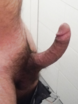 Bull da monta parte seconda