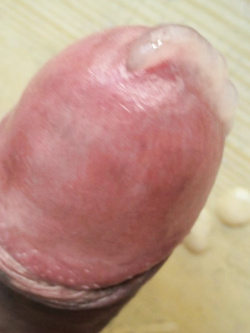 I miei foto per Amaporn