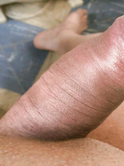 I miei foto per Amaporn