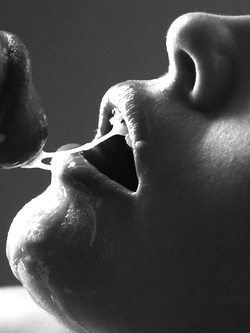 presentazione di un bull